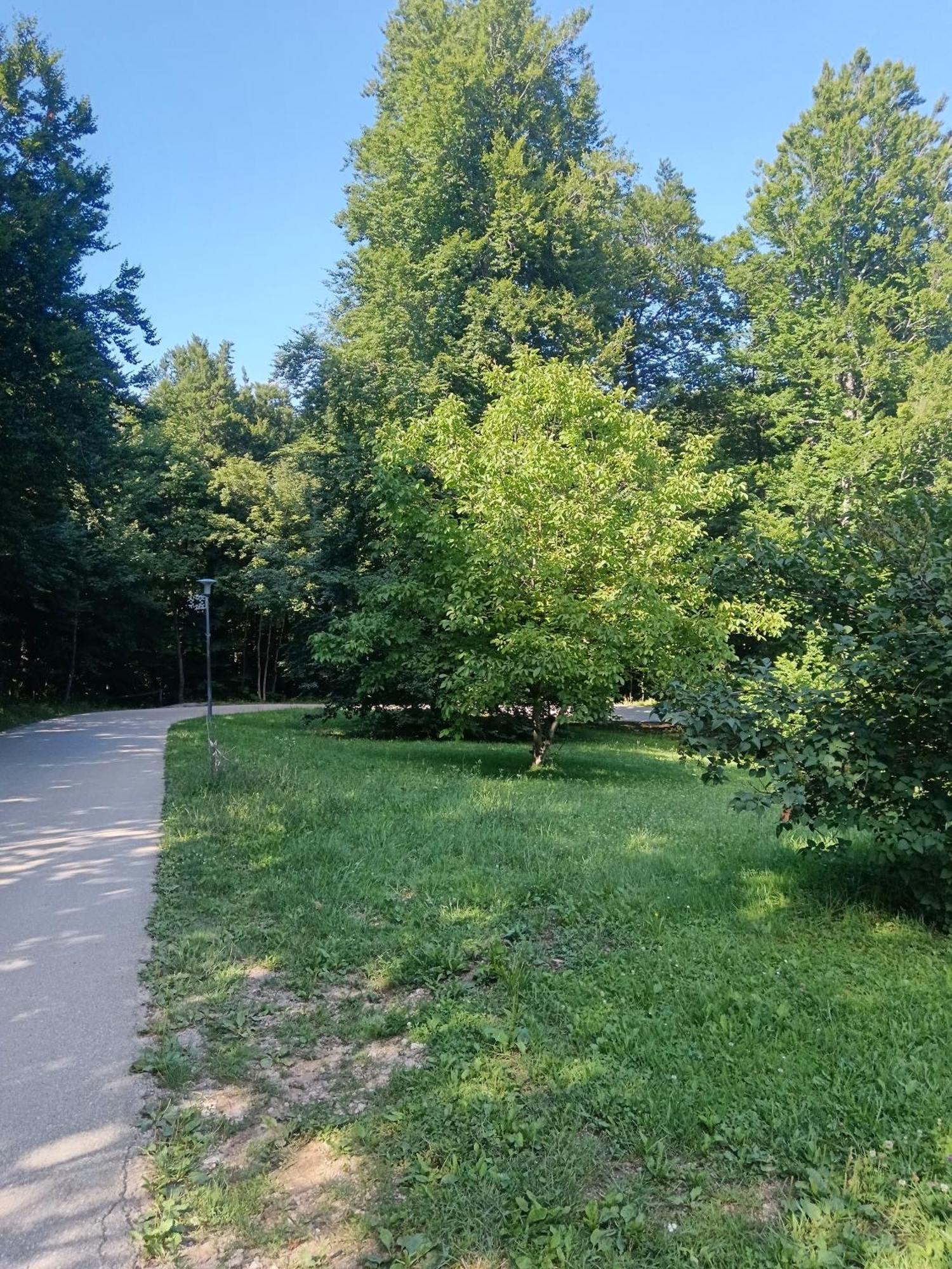 Apartamento Tisa Self Check In Plitvička Jezera Exterior foto